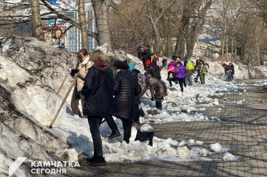 В Петропавловске-Камчатском пройдёт общегородской субботник. Фото: ИА "Камчатка"