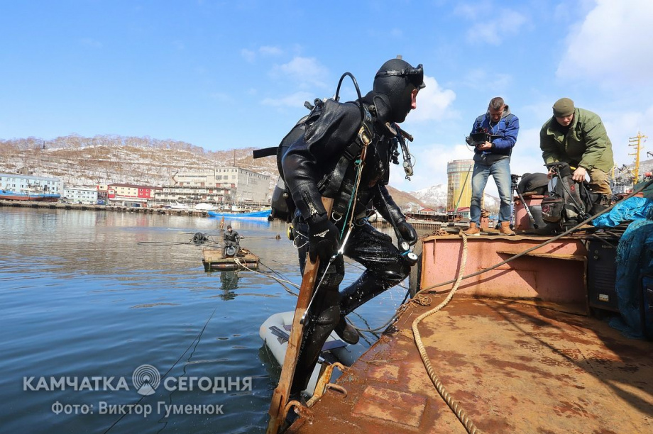 День водолаза. Фотоподборка. фото: Виктор Гуменюк/архив. Фотография 12
