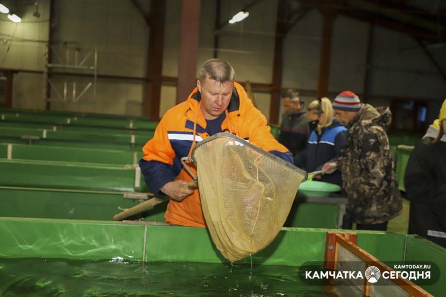 В добрый путь. Фото: Виктор Гуменюк. Фотография 24