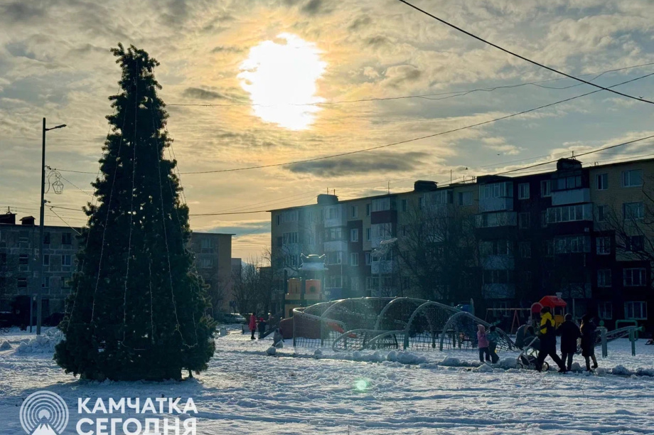 Сегодня в столице Камчатки зажжет огни первая елка. Фото: ИА "Камчатка"