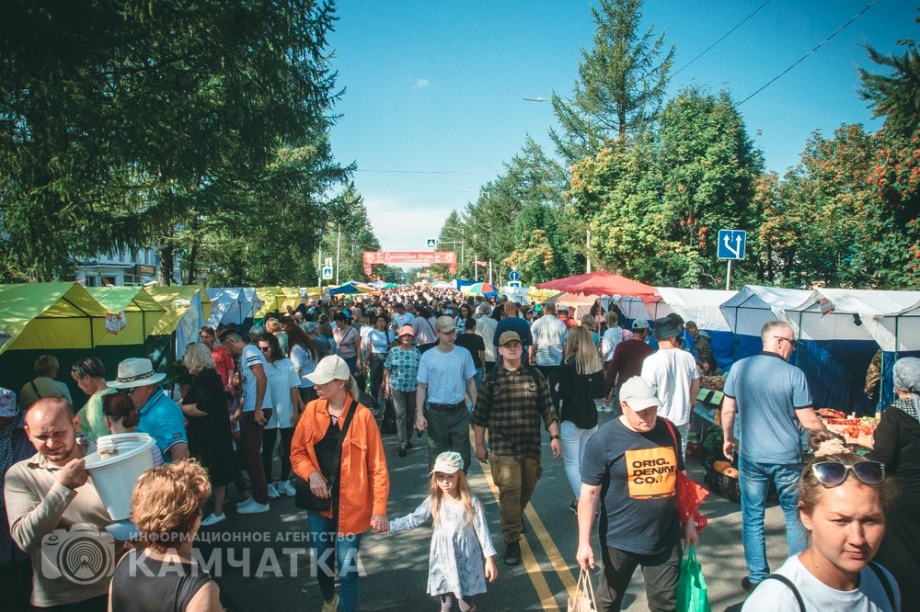Жителей Камчатки приглашают на ярмарку «Елизовская осень – 2024». Фото: ИА "Камчатка". Фотография 3