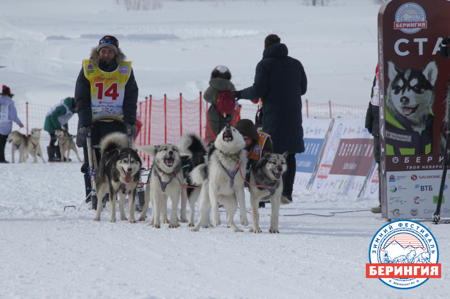 «Берингия-2021». Фото: Виктор Гуменюк. Фотография 81