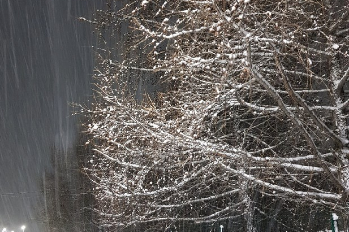 Камчатские Тиличики после снегопада. Фоторепортаж. Фото: Ольга Копейкина. Фотография 3