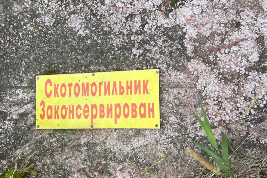 Скотомогильники на Камчатке содержатся с грубыми нарушениями. Фото: прокуратура Камчатского края. Фотография 2