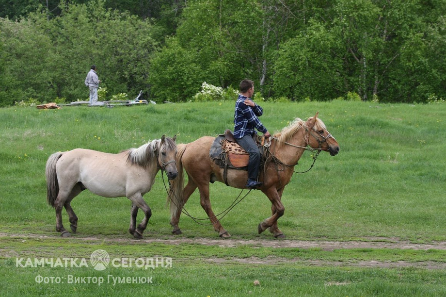День рождения села Анавгай на Камчатке. Фотоподборка. Фото: архив/Виктор Гуменюк. Фотография 42
