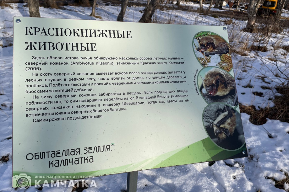 Обрядовый праздник Хололо отметили в Паратунке 9 ноября. фото: Игорь Ходжер. Фотография 52