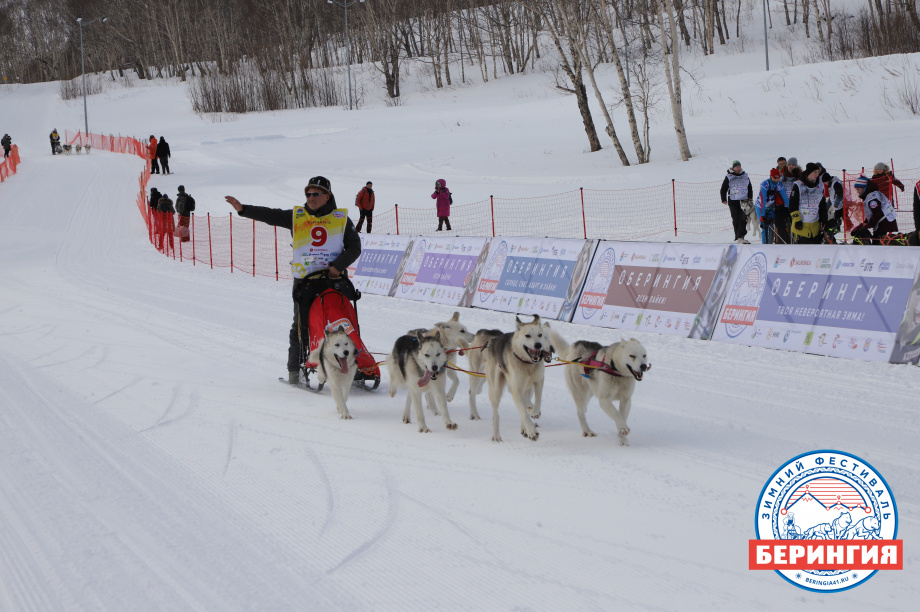 «Берингия-2021». Фото: Виктор Гуменюк. Фотография 5