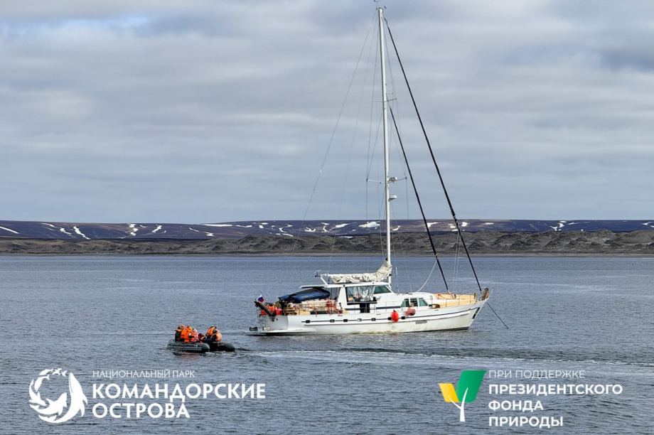 Экспедиция направилась на необитаемый остров Медный спасать краснокнижных песцов . Фото: Национальный парк "Командорские острова". Фотография 2