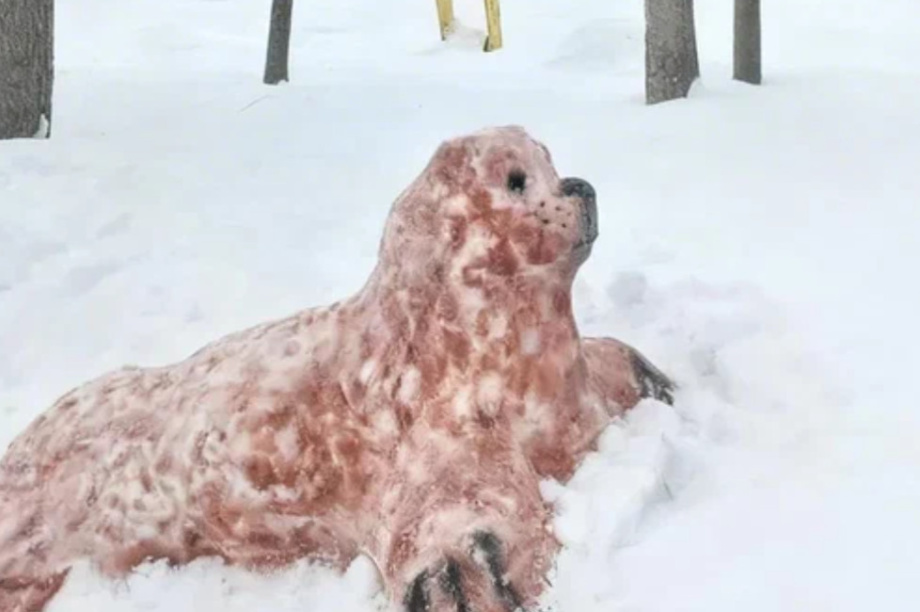 Жители Камчатки создали снежные скульптуры обитателей  местных заповедников. Фото: пресс-служба Кроноцкого заповедника. Фотография 12