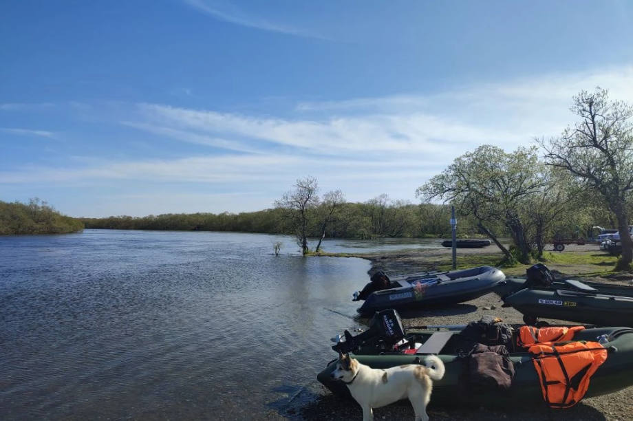Что и где клюет на Камчатке: дайджест за неделю с 1 по 6 июня. kamfishing.ru