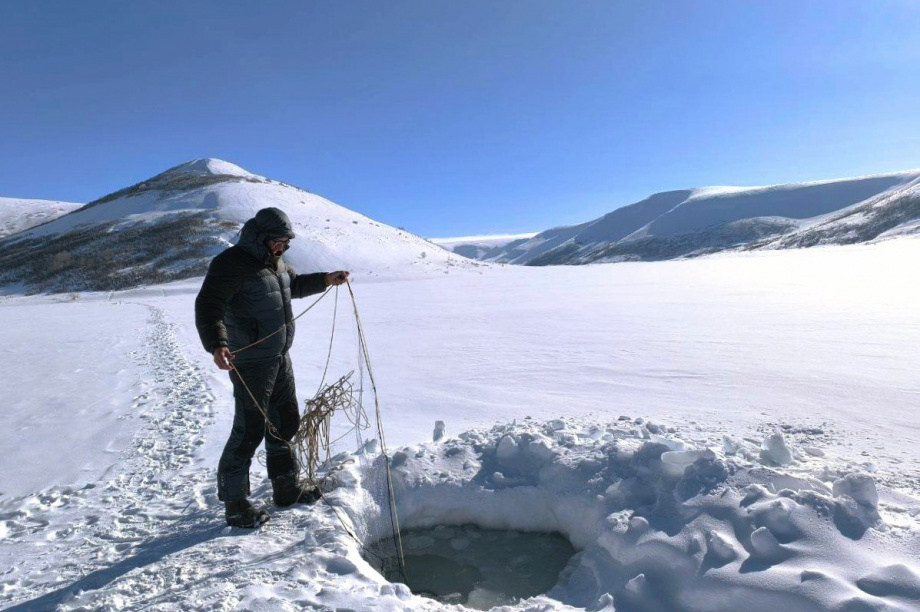Живую популяцию древнего гольца ученые Камчатки нашли в ледниковом озере. Фото: сеть природных парков "Вулканы Камчтки". Фотография 3