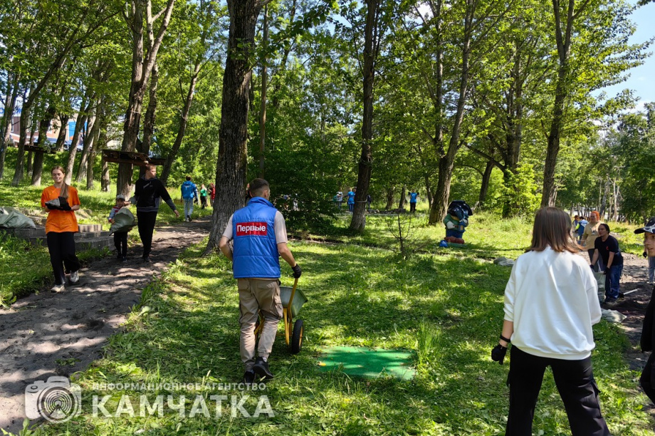 Молодежный субботник прошел в детском парке Петропавловска. фото: ИА "Камчатка". Фотография 12