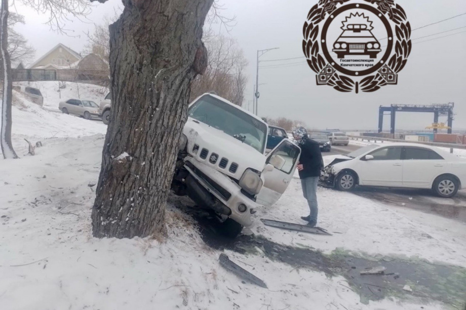 В столице Камчатки «Сузуки Джимни» врезался в дерево, водитель пострадал. Фото: Госавтоинспекция Камчатского края