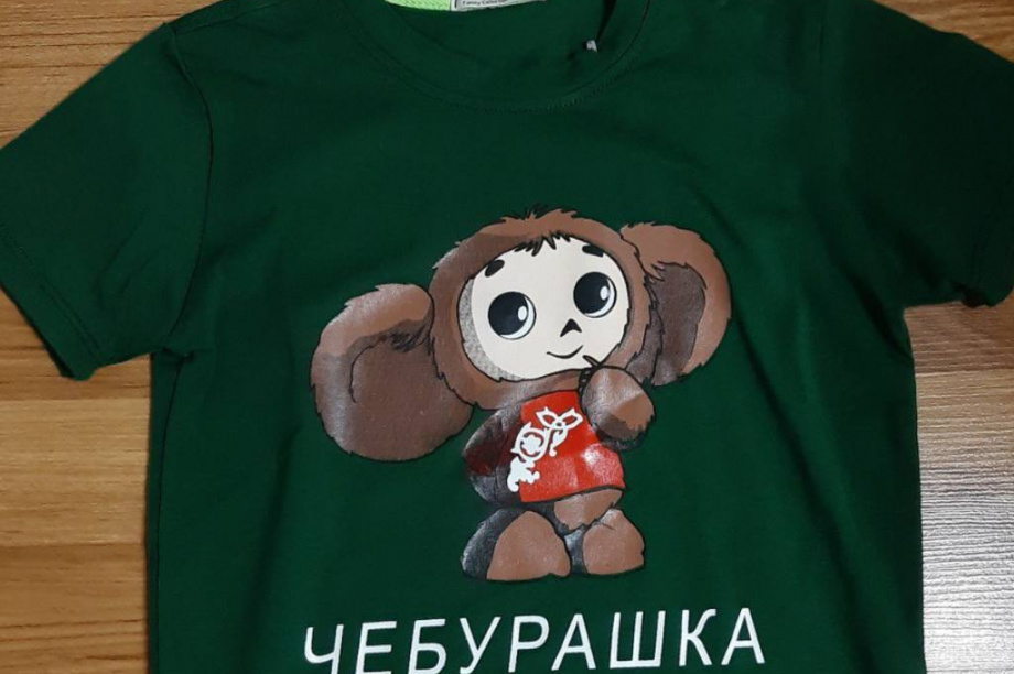 Камчатский предприниматель поплатился за использование Чебурашки. Фото: Арбитражный суд Камчатского края