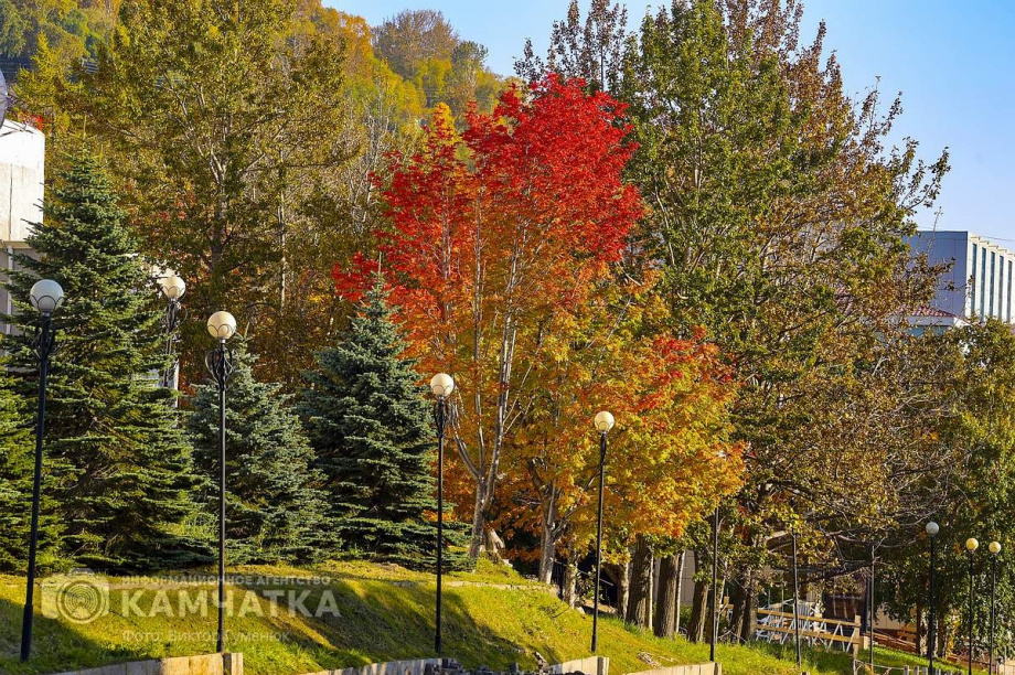 Оранжевая осень в Петропавловске. Фото: Виктор Гуменюк. Фотография 57