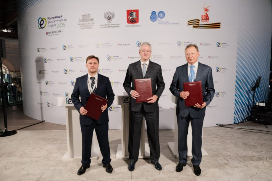На Камчатке построят новую геотермальную электростанцию. . Фотография 2