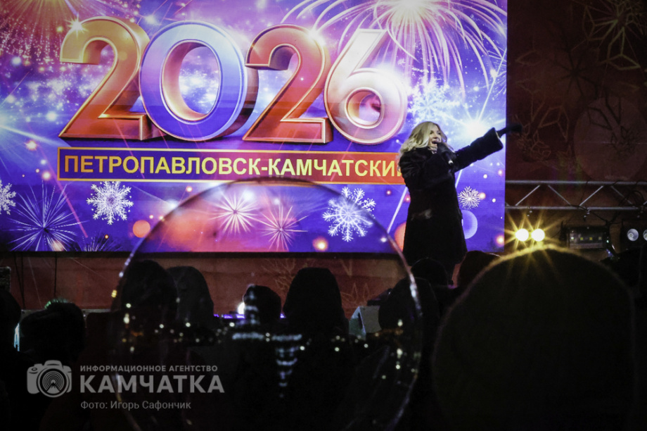 Новогодняя ночь в Петропавловске-Камчатском (фоторепортаж). . Фотография 9