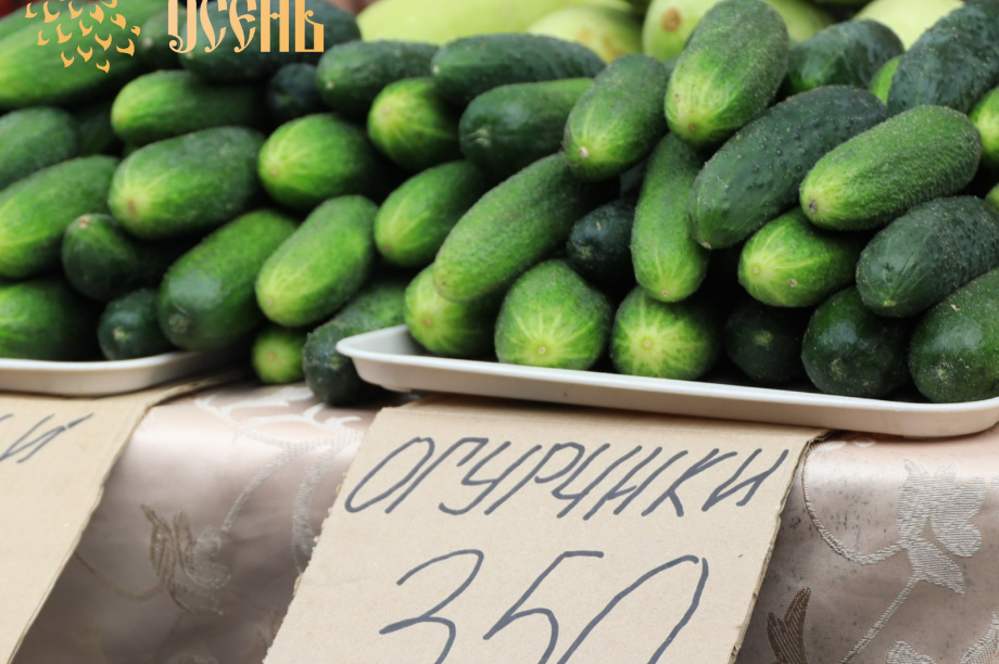 Продавцам на елизовской ярмарке рекомендовали не задирать цены на сельхозпродукцию. Фото: Елизовская администрация. Фотография 6