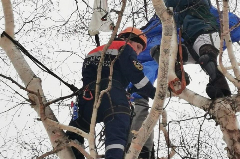 Парапланерист застрял на дереве в Петропавловске . Фото: пресс-служба краевого управления МЧС. Фотография 2