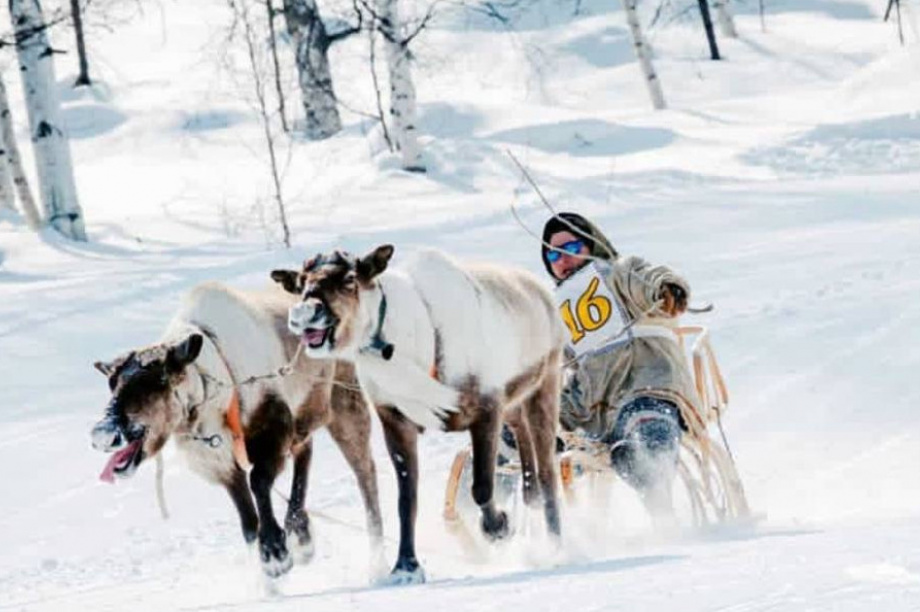  История и современность праздника оленеводов на Камчатке. Фото: тг. Камчатский север/Ася Ускова. Фотография 4