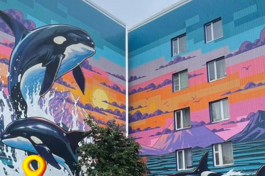 Больше 20 муралов уже украсили улицы Петропавловска-Камчатского. . Фотография 9