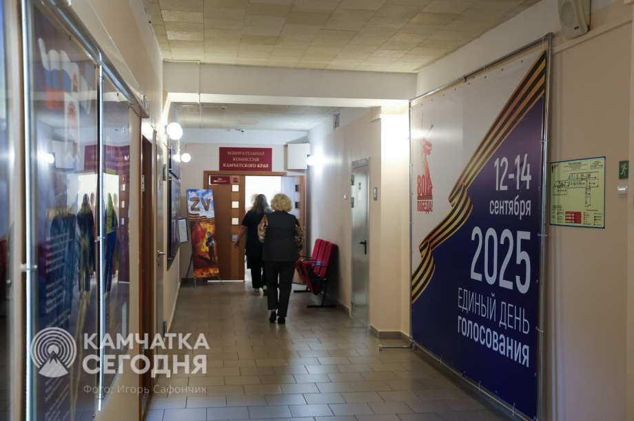 Общественные наблюдатели прошли профподготовку к выборам в Камчатском крае . . Фотография 1