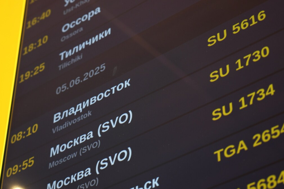 В главном аэропорту Камчатки теперь можно самостоятельно зарегистрировать багаж. Фото: kamgov.ru. Фотография 4