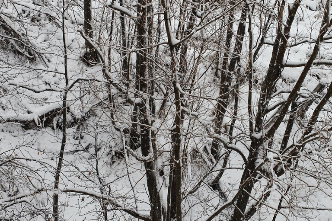 Апрельский снег. Фото: Виктор Гуменюк / информационное агентство "Камчатка". Фотография 15