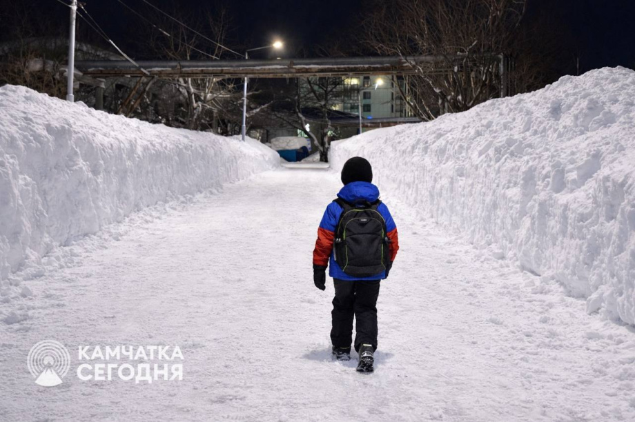 Школы, колледжи и техникумы в столице Камчатки переведены на «удаленку» еще на три дня. Фото: ИА "Камчатка"