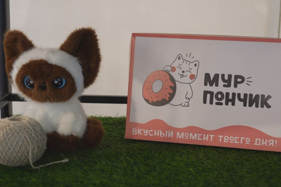 Кафе «Мур-Пончик» «встало на лапки»  благодаря мерам поддержки бизнеса. Фото: kamgov.ru. Фотография 1