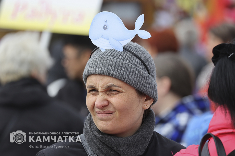 В Камчатском крае состоялся экологический фестиваль «Море жизни» (фоторепортаж). Фото: ИА «Камчатка»\Виктор Гуменюк. Фотография 44