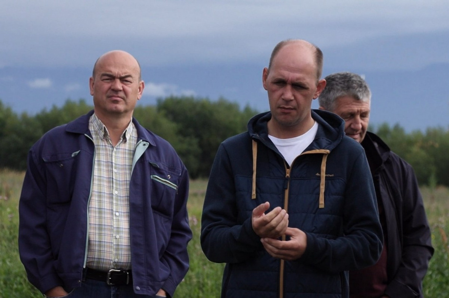 Презентацию 13 новых для Камчатки сортов картофеля провели в Елизовском районе. Фото: Виктор Гуменюк, kamgov.ru. Фотография 5