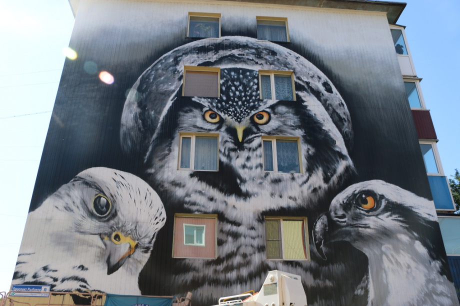 Ещё 25 домов Петропавловска украсят фестивальные граффити в следующем году. Фото: kamgov.ru