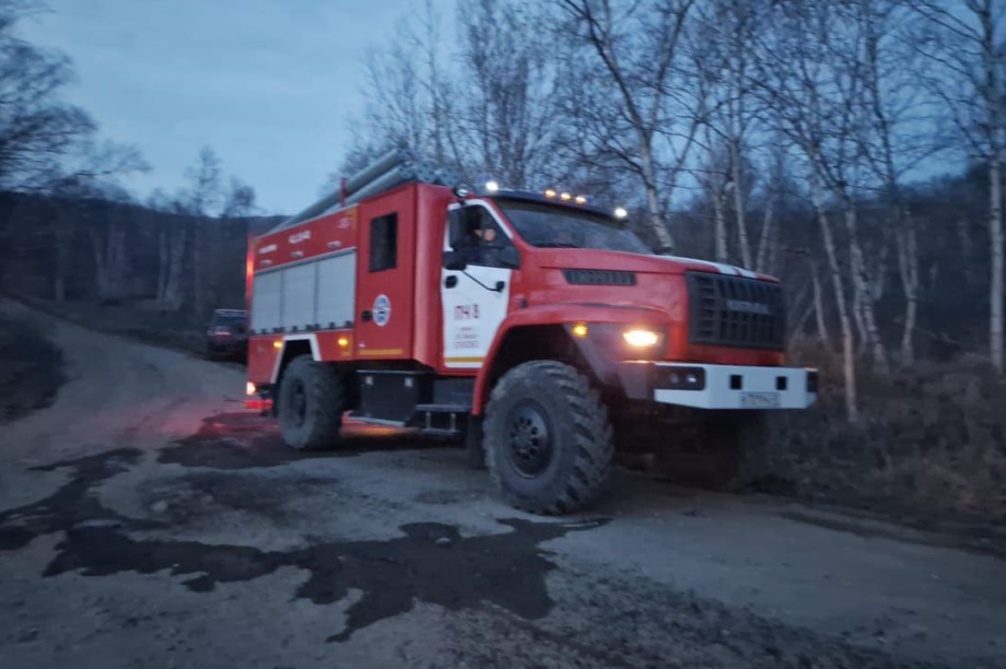 Пожар возле дачных поселков на Камчатке локализован. Фото: ГУ МЧС России по Камчатскому краю. Фотография 1
