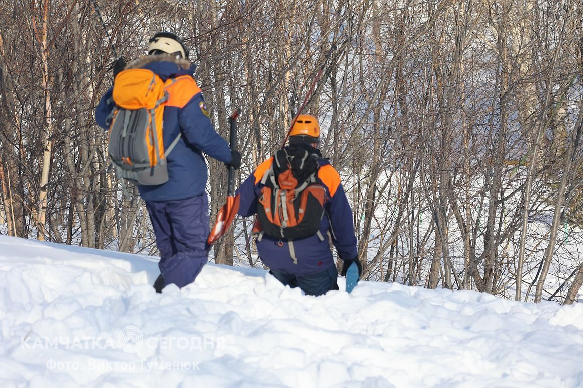 Тренировка по поиску людей в лавинах на Камчатке. Фоторепортаж. Фото: Виктор Гуменюк/ИА "Камчатка". Фотография 20