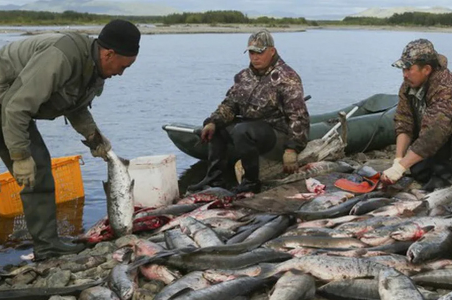 Представители КМНС обсудили законность работы родовых общин Камчатки. Фото: тг. Национальный акцент