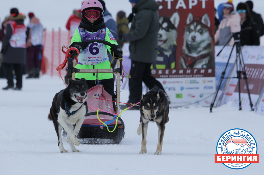 На Камчатке стартовала детская гонка на собачьих упряжках «Дюлин-2021». Фото: Виктор Гуменюк. Фотография 5
