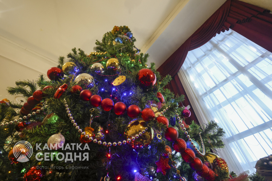 Пятьсот детей побывали на Губернаторской ёлке на Камчатке. Фото: ИА «Камчатка»/Игорь Сафончик. Фотография 2
