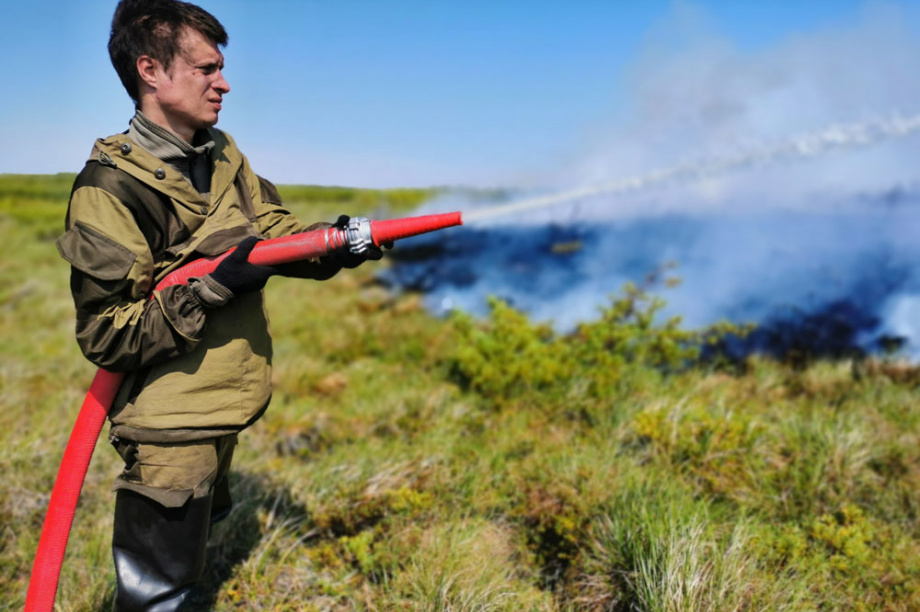 В Корякском заповеднике горели 32 тысячи гектаров леса. Фото: Максим Запорожец. Фотография 14